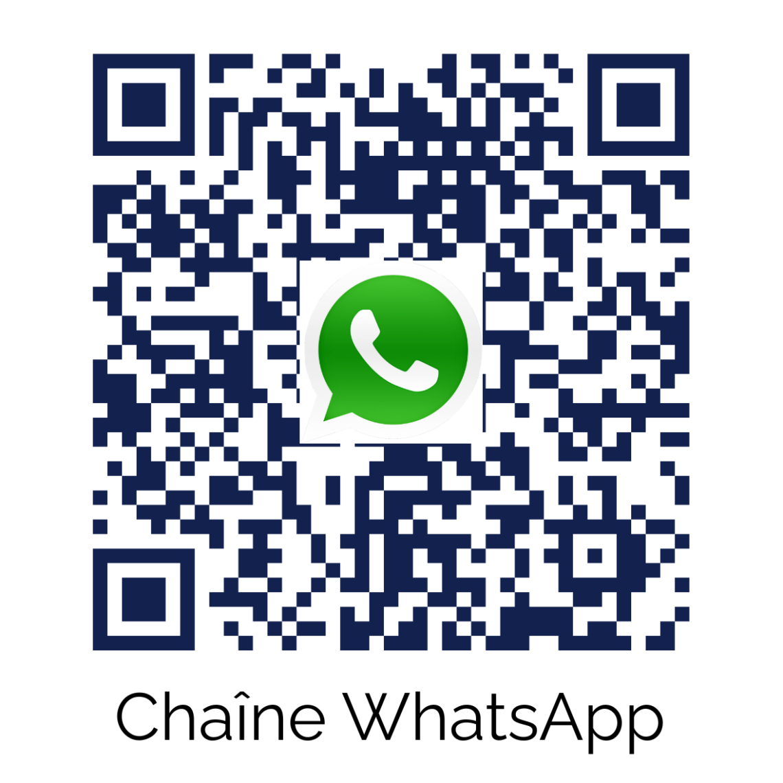 QR code Chaine WhatsApp Dental 3D